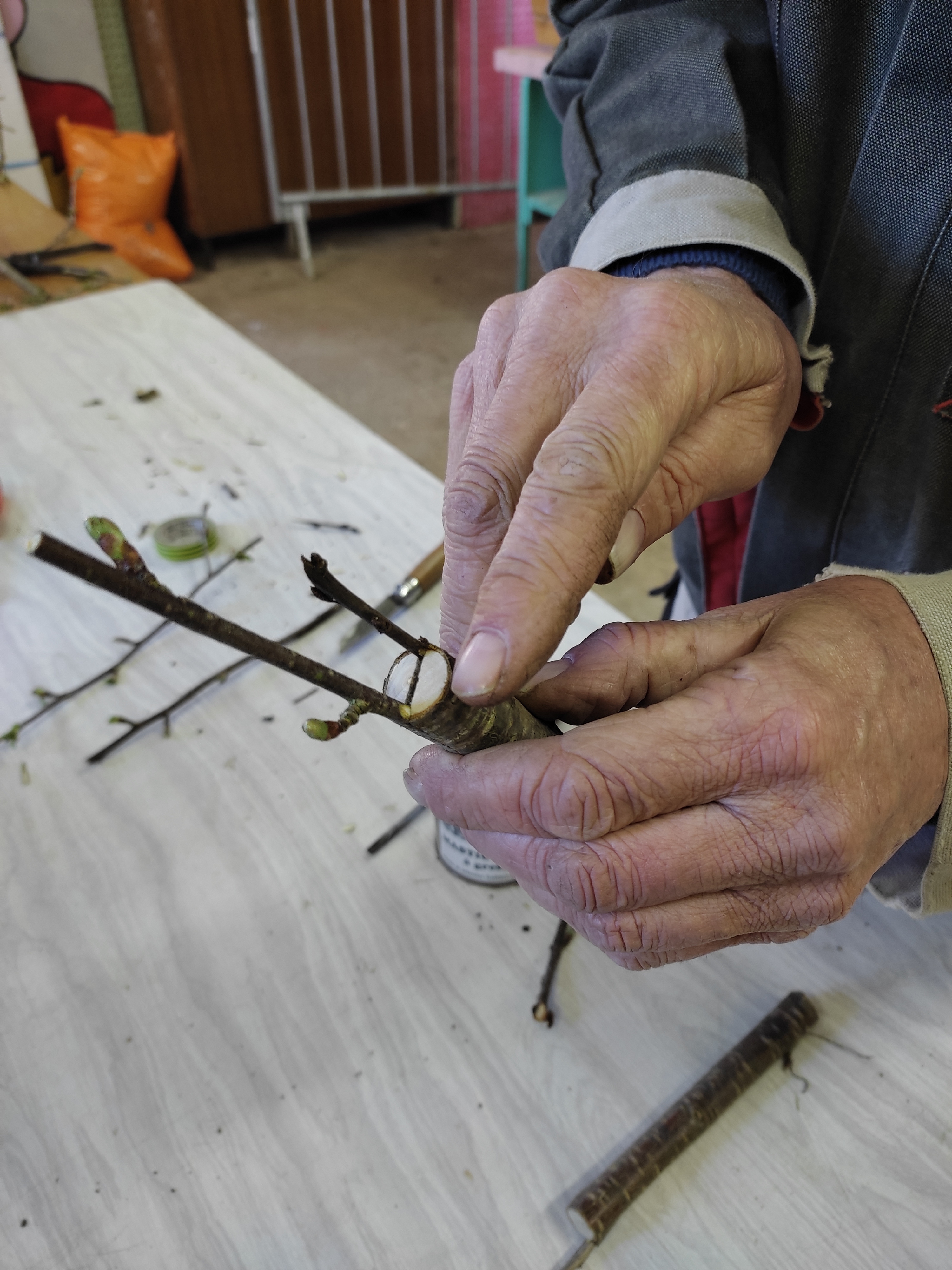 la technique de greffage